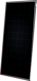 Gorilla N60G_375