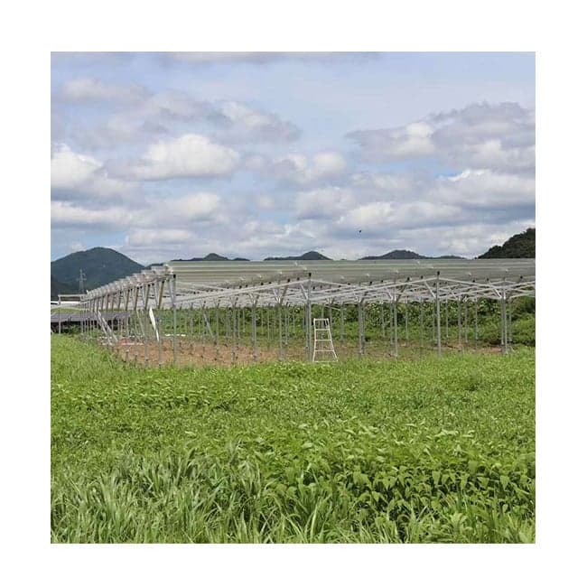 AS Agricultural Solar Farm Mounting System