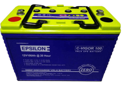 C-VIGOR 100