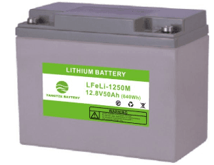12V 55Ah