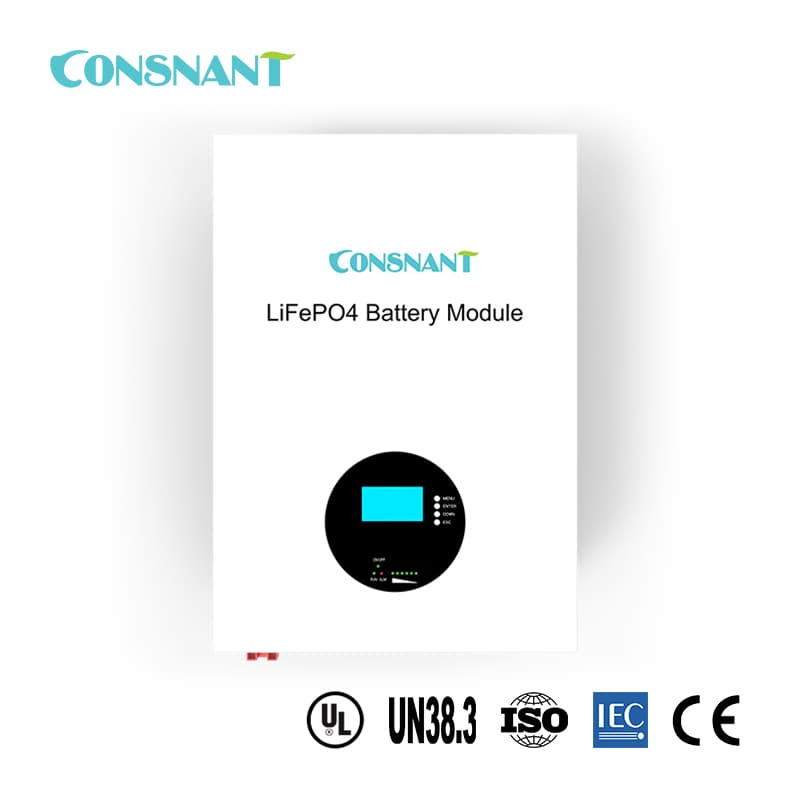 CNS-LFP48100-WM