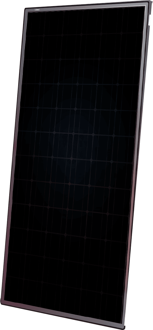 Gorilla N60G_375