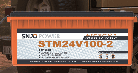 STM24V100-2