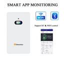 Wall Mounted Lithium Solar Battery