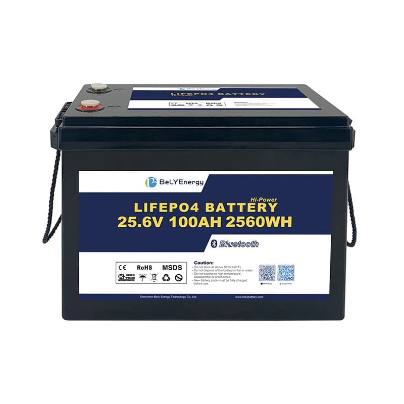 LFP-24V100AH