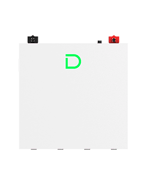 DL5.0C Pro
